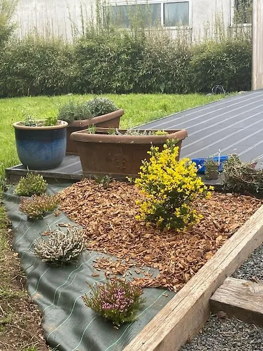 Ty Rozair Villa Plérin Tatil Evi
